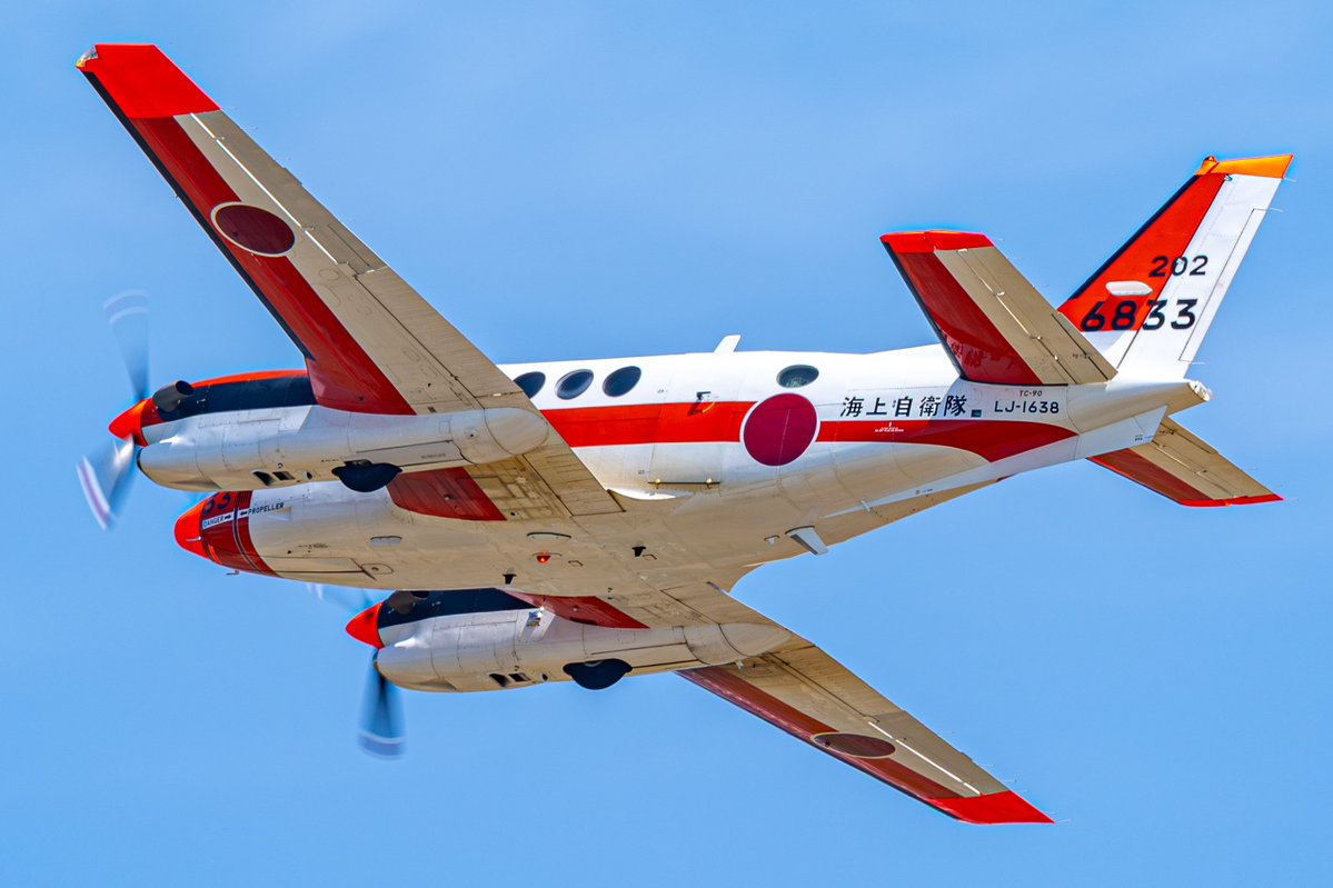 カリス(は花粉症?) tweet media