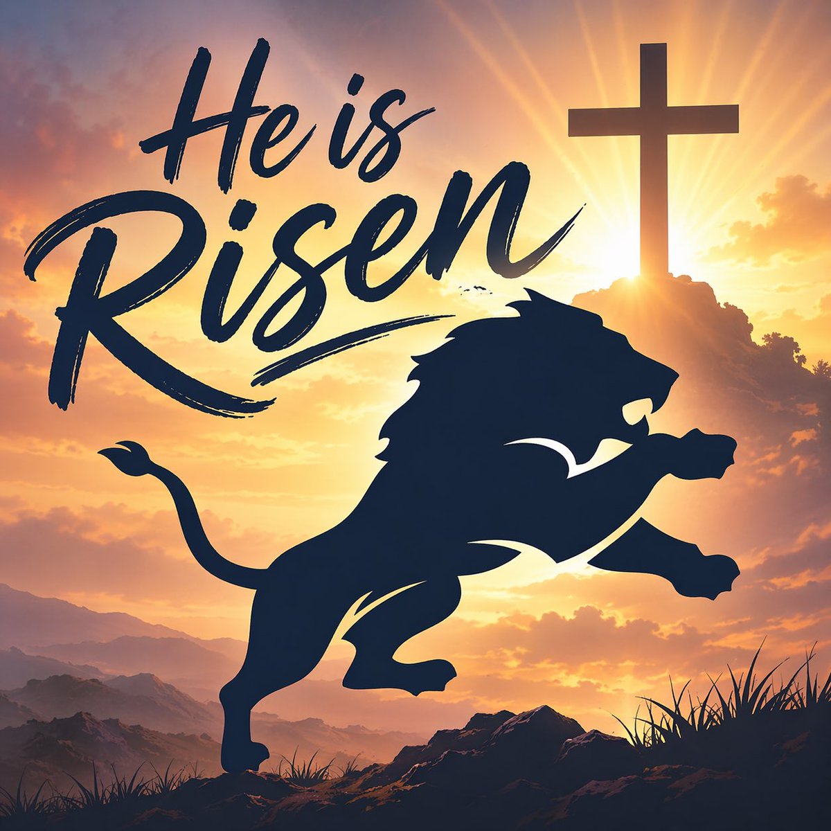 Lions Football tweet media