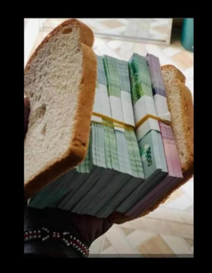 Novan Hazard tweet media