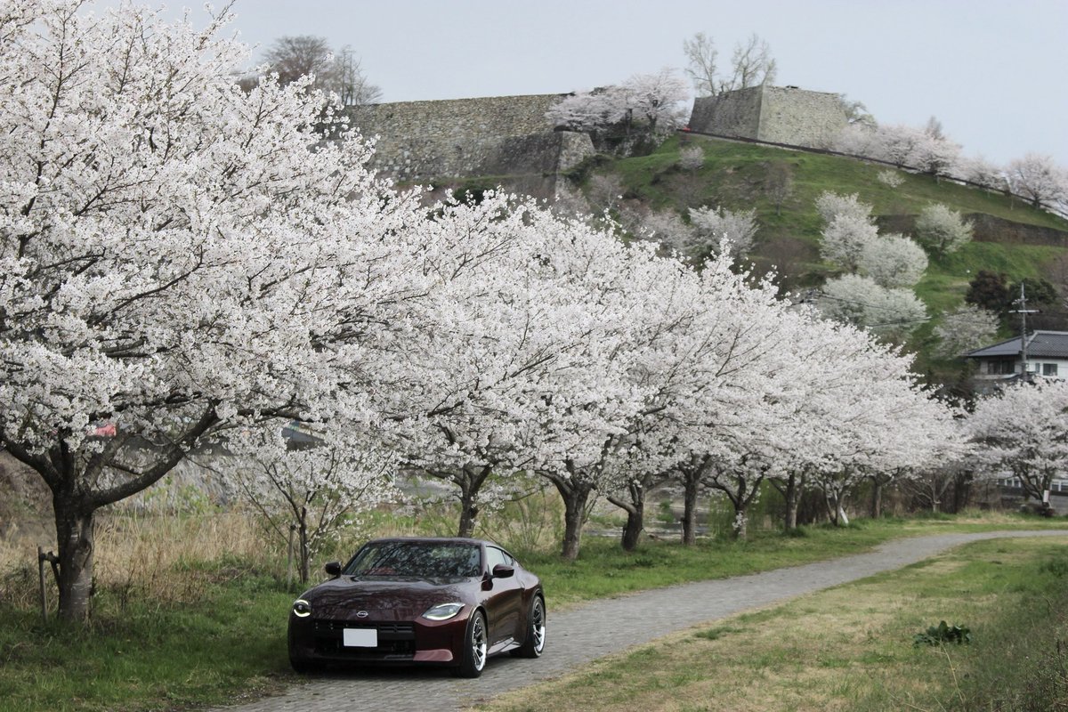 RZ34 OWNERS CLUB tweet media