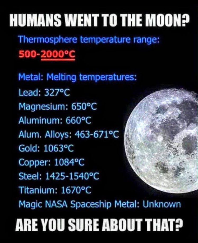 TheCunningOne tweet media