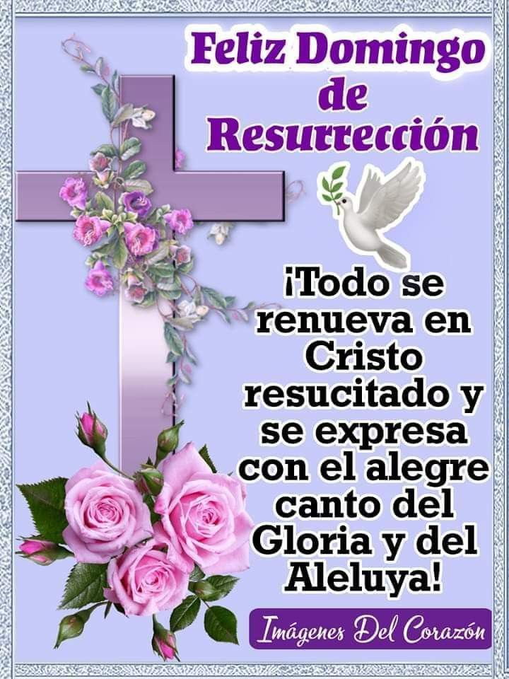 ymr7719's tweet photo. Amén Amén Amén 🙏🙏🙏 https://t.co/xaKAaqCXSl