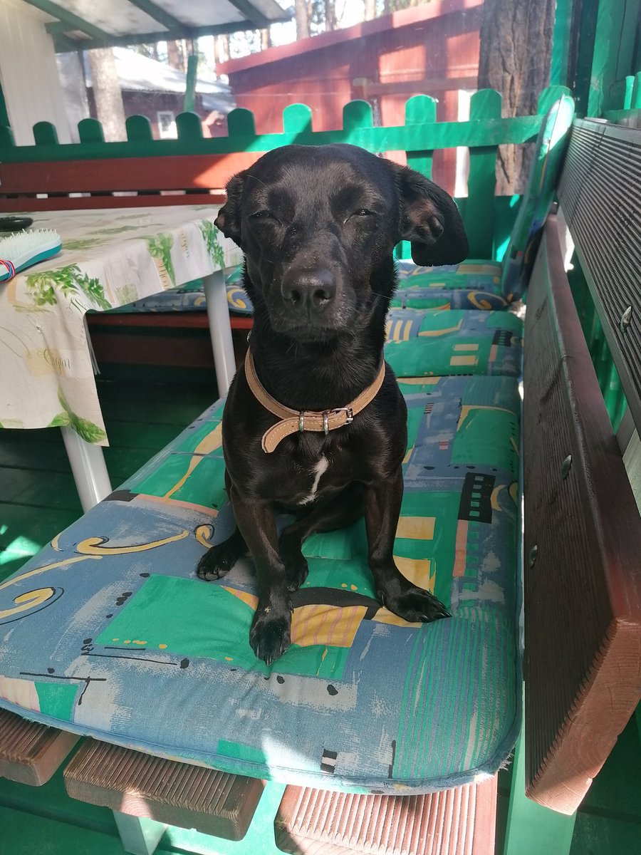 mio.n0x⁸¹ tweet media