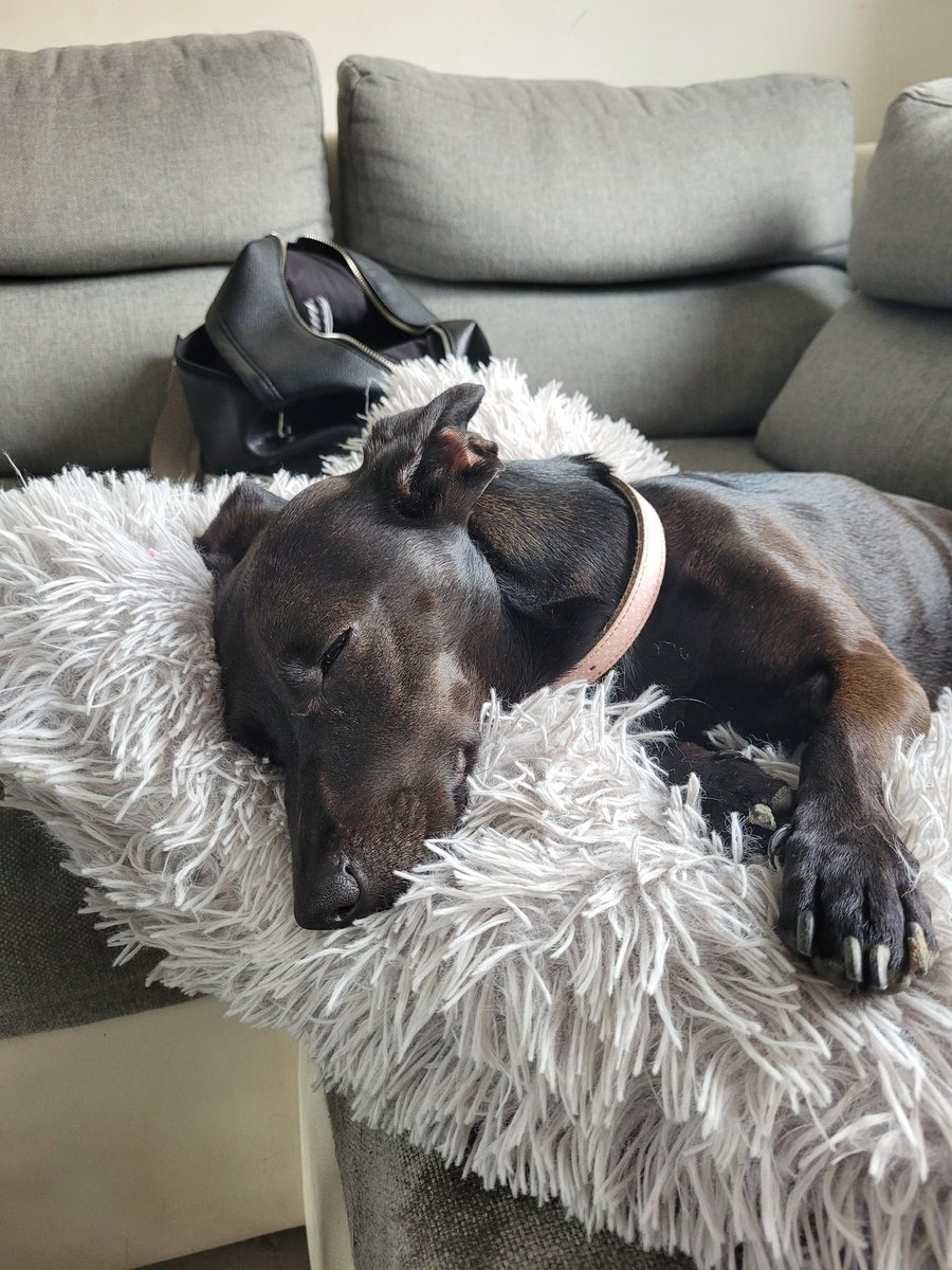 mio.n0x⁸¹ tweet media