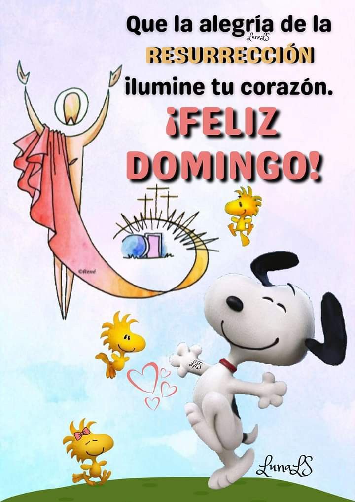 Aᥣᥱx Cᥲstro Cᥲbrᥱrᥲ tweet media