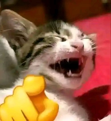flicker_121's tweet photo. @aylofyiu https://t.co/ugQuAI5Ead