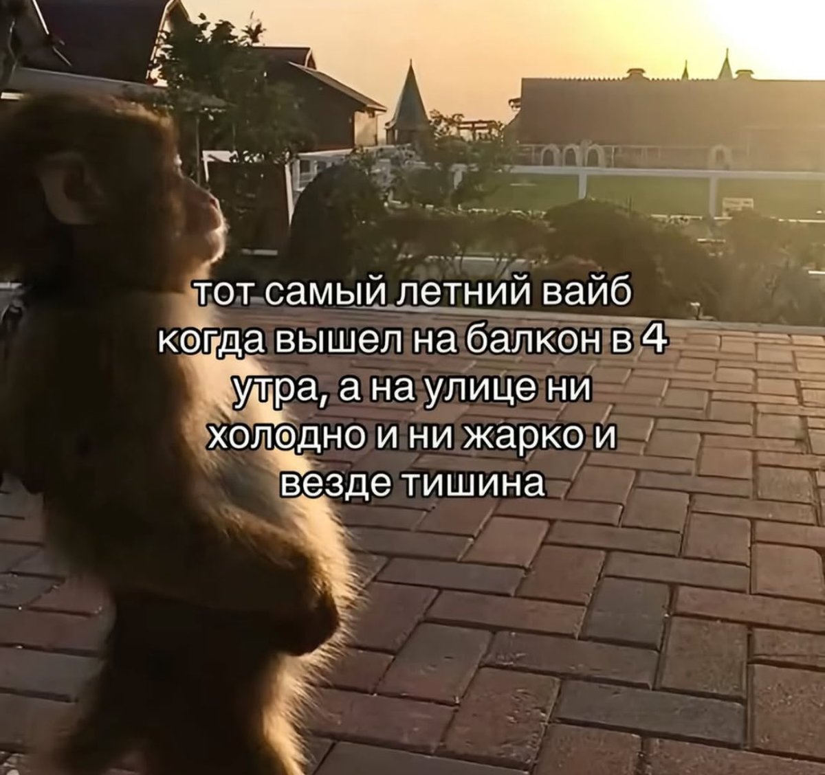 treschenko24's tweet photo. Лайк если захотелось https://t.co/JFpXbzGUb8