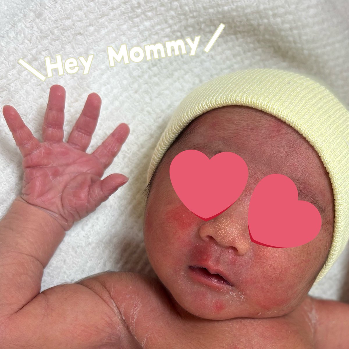 まろんくりーむ tweet media