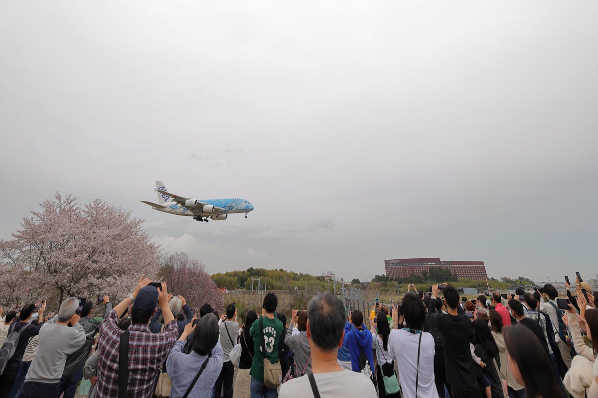 𝙚 𝙞 𝙞 𝙘 𝙝 𝙞 🌞 tweet media