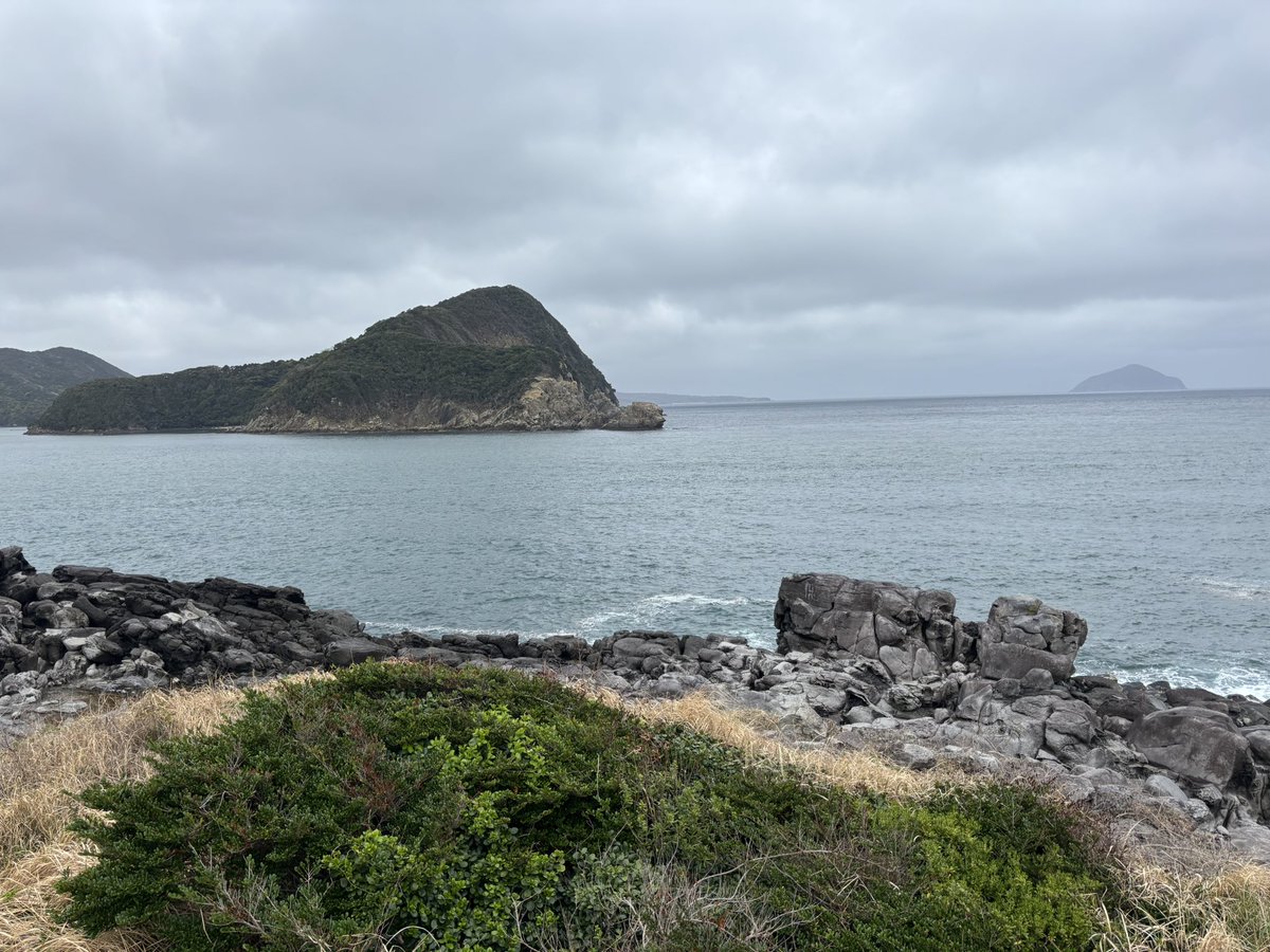 ゴリッキー(松本力哉)@オフィス世田谷 tweet media