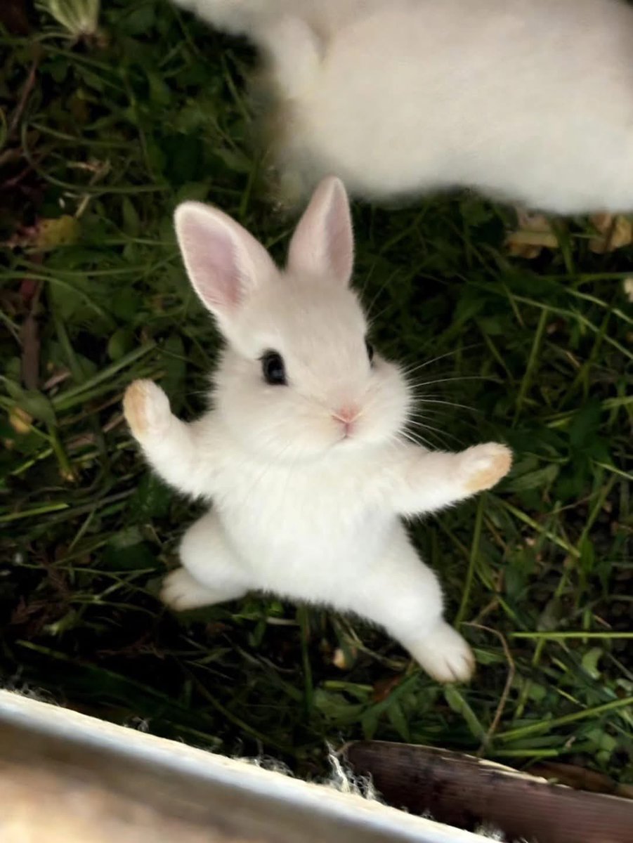 Laura Sofia Urbano tweet media