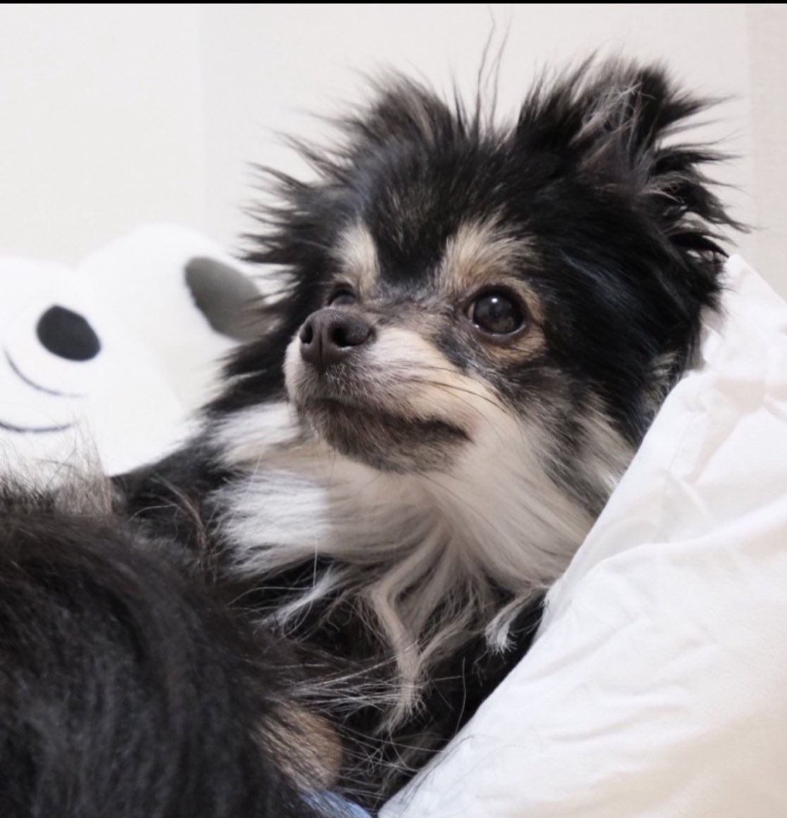 KAYO☁️ tweet media