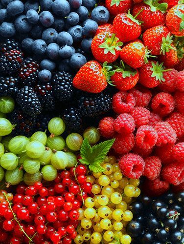 *loving boy* tweet media