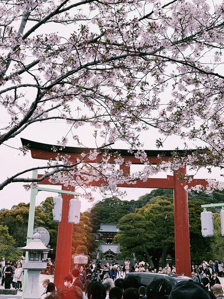 ねるこ在宅 tweet media