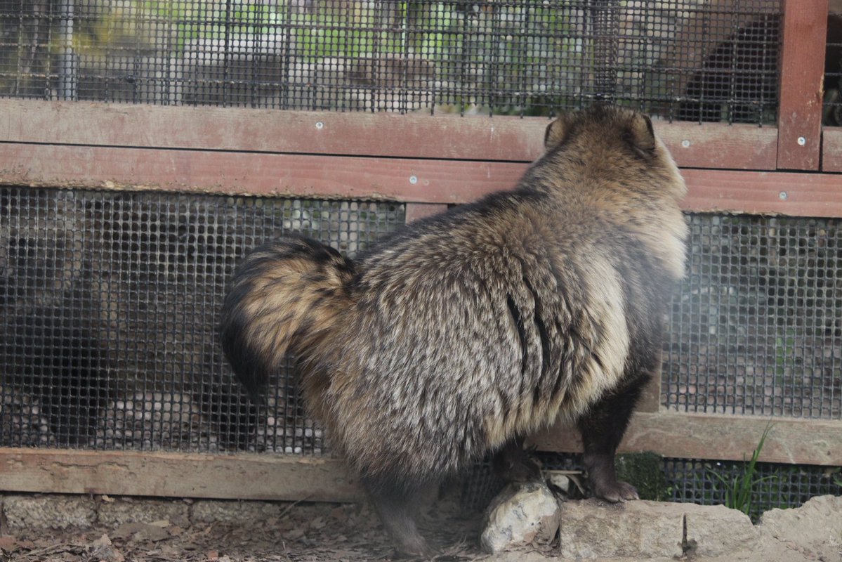 瓦礫。 tweet media