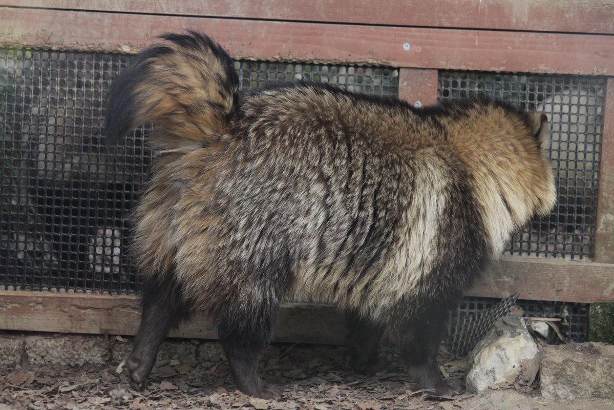 瓦礫。 tweet media