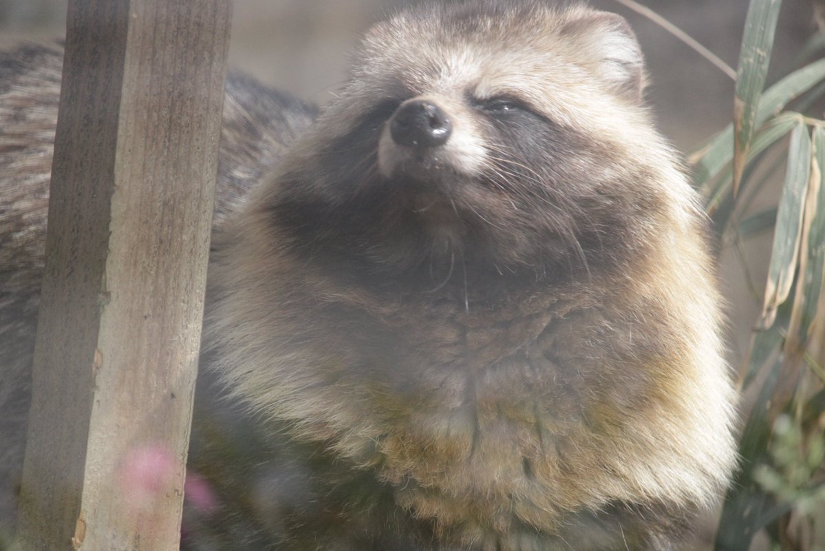 瓦礫。 tweet media