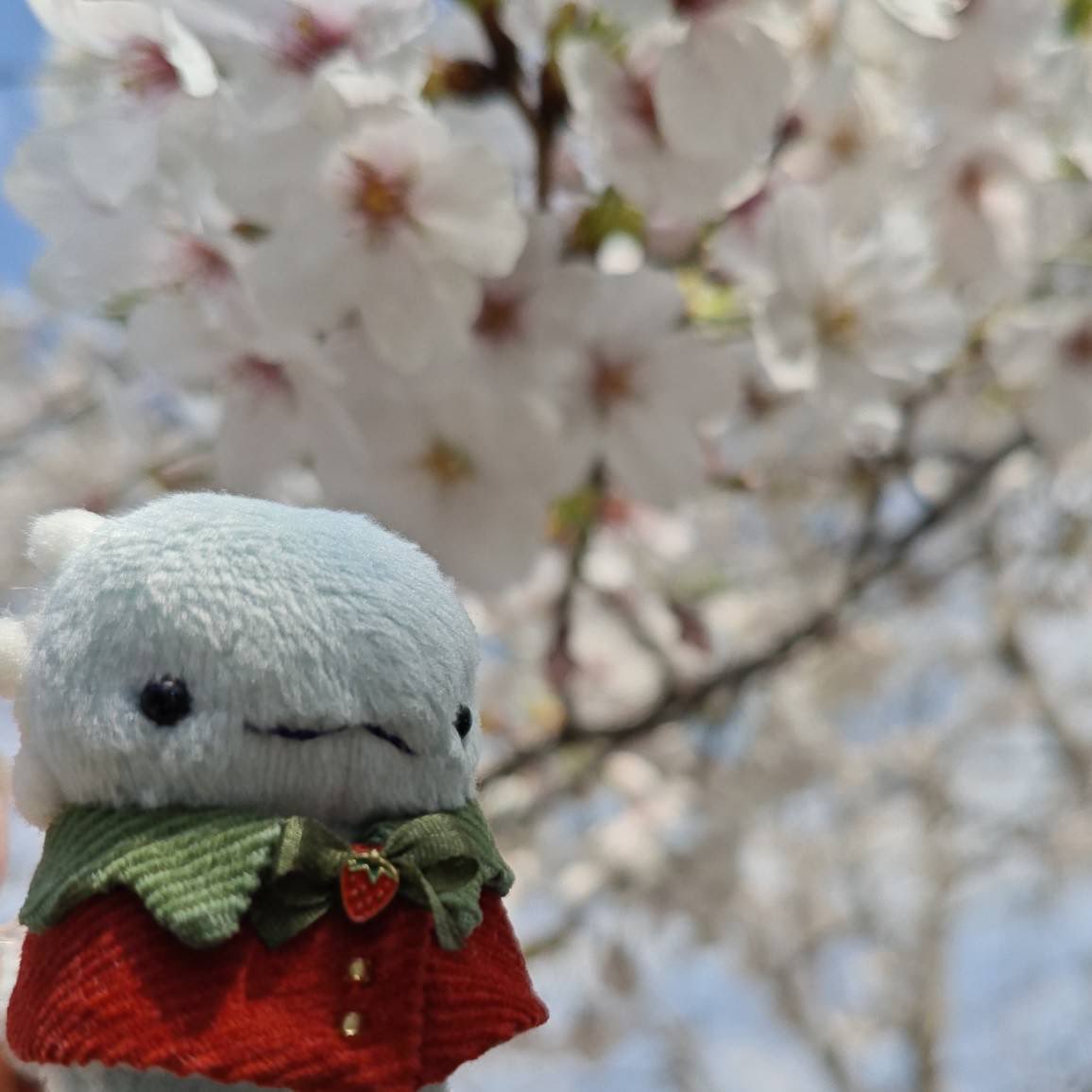 まるとろ tweet media