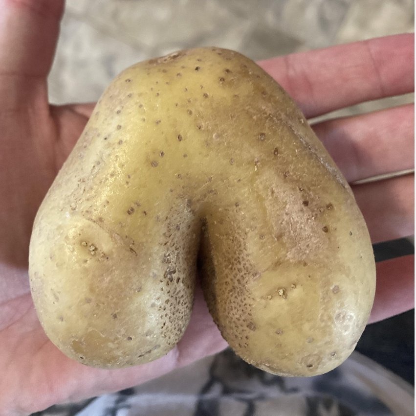 Gabriel Clau tweet media