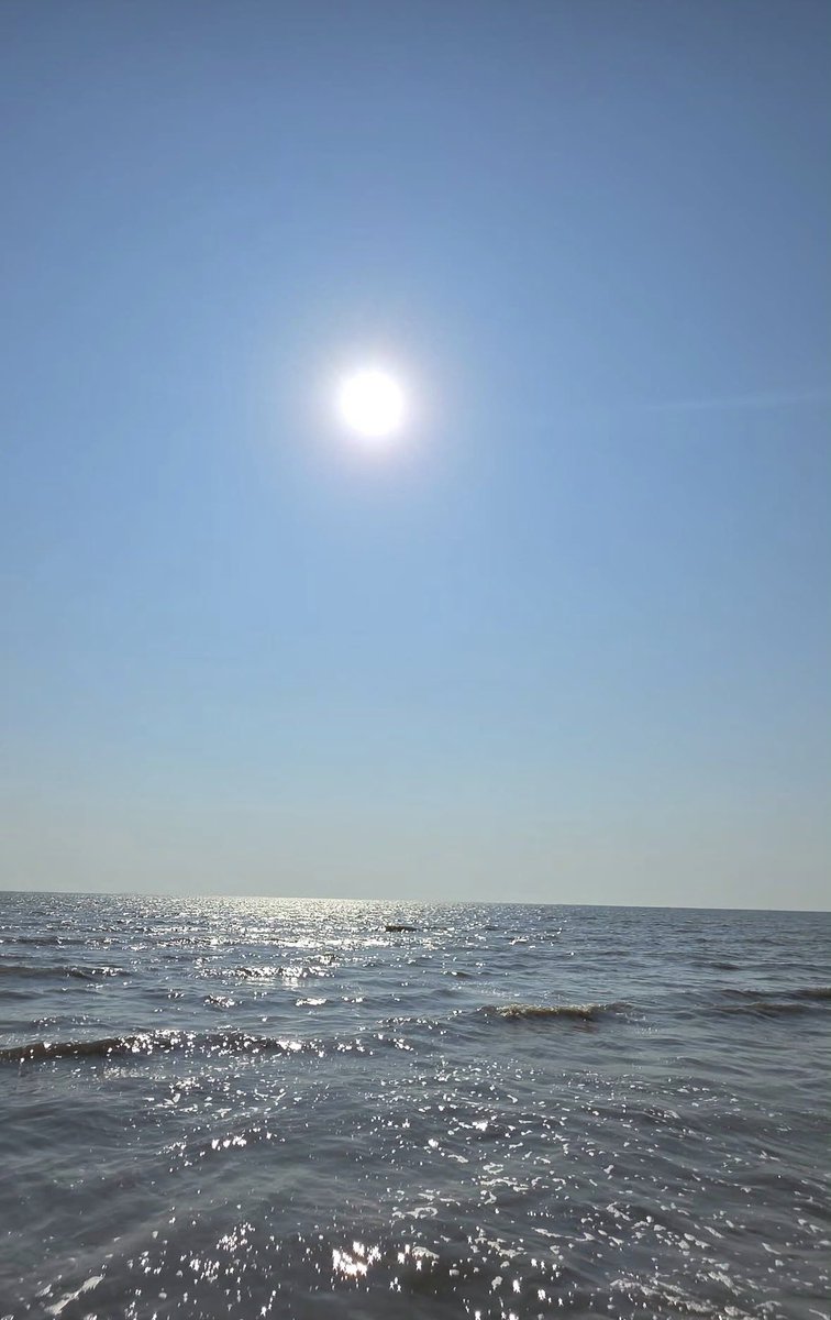 🌳🍊PoomsuwanPassawish tweet media