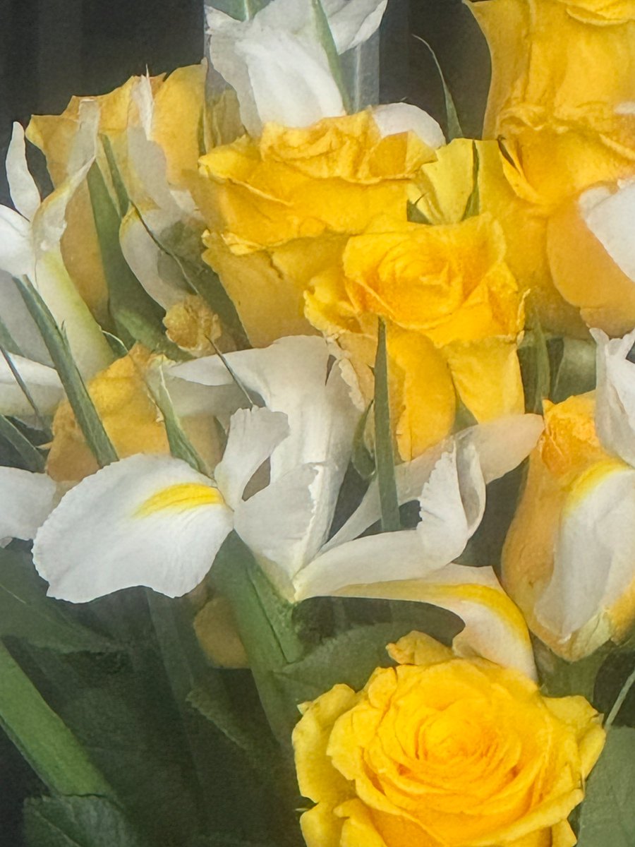 Dawn Williams tweet media