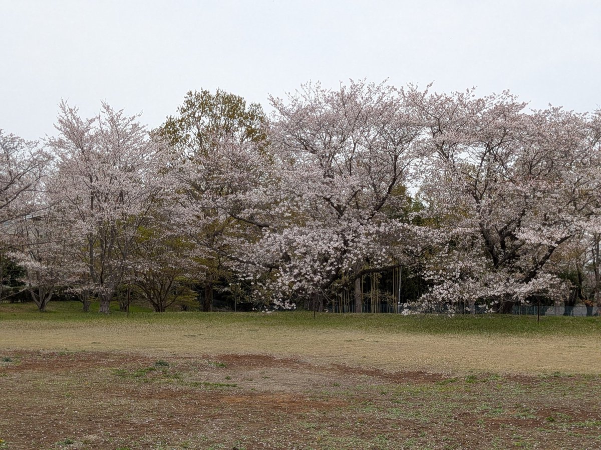 しんちゃん@必ずもどってこいよ!北陸新幹線 tweet media