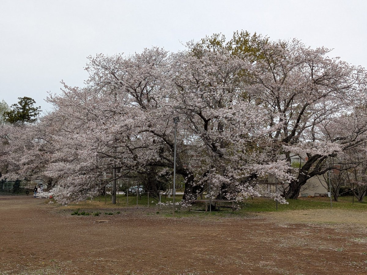 しんちゃん@必ずもどってこいよ!北陸新幹線 tweet media