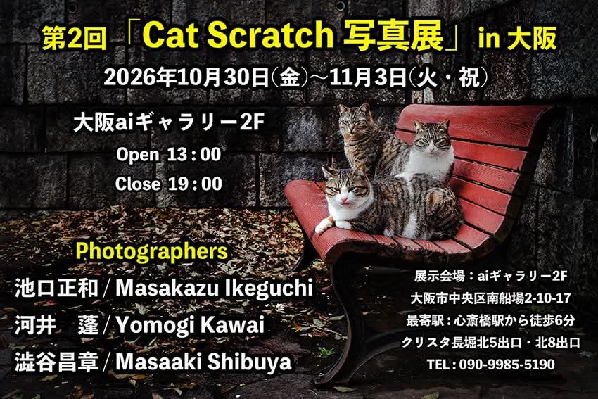 m_shibuya_cat's tweet image. 所属しているCat Scratch Japan
写真展のDMが完成しましたー！
ご来場お待ちしてます♪

#ねこ #猫 #cat #拡散希望