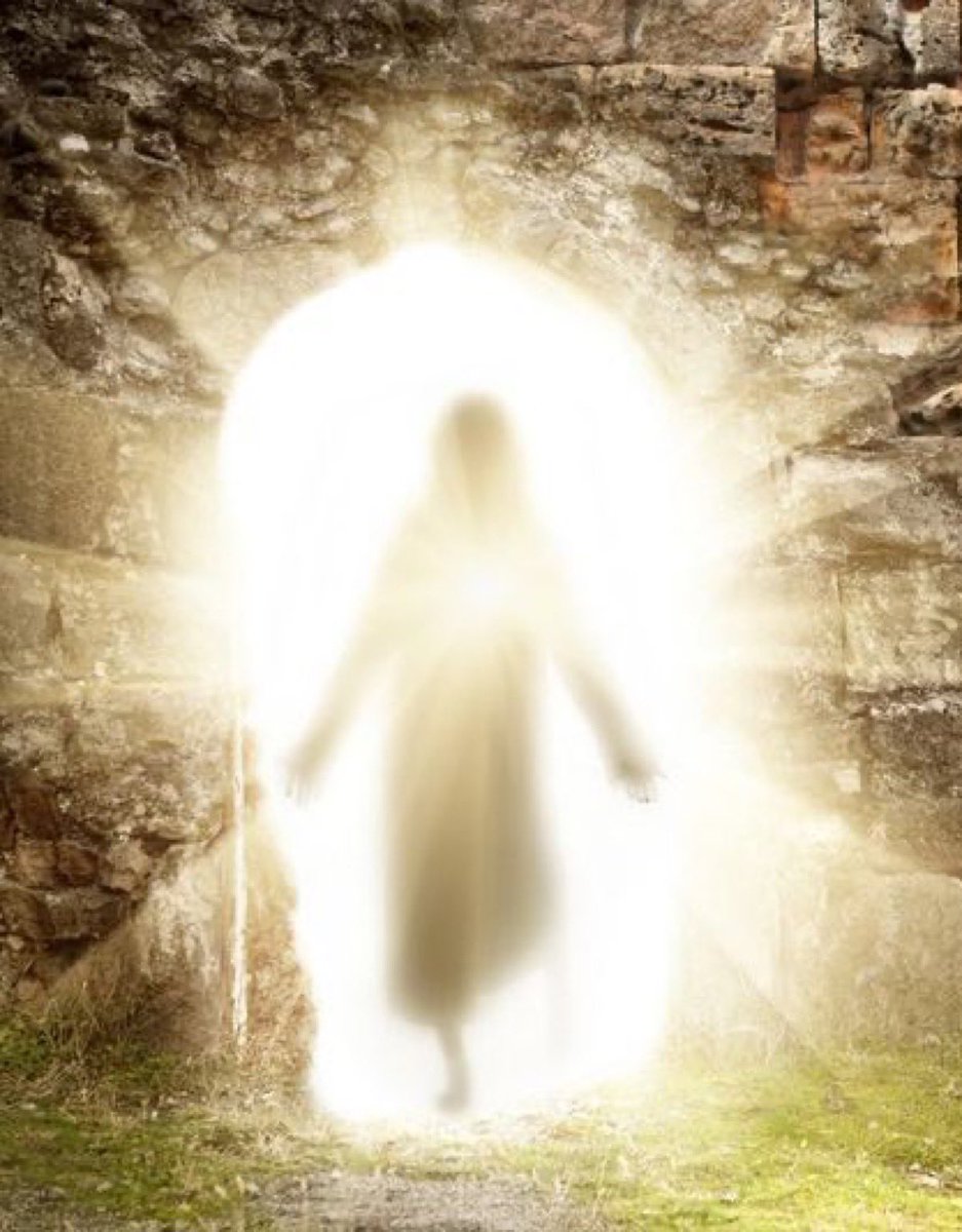 TankMan90 tweet media