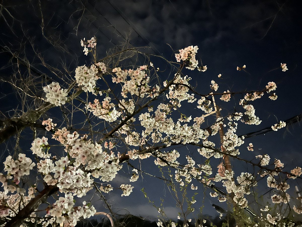 ジュン@ふぶき㌠ tweet media