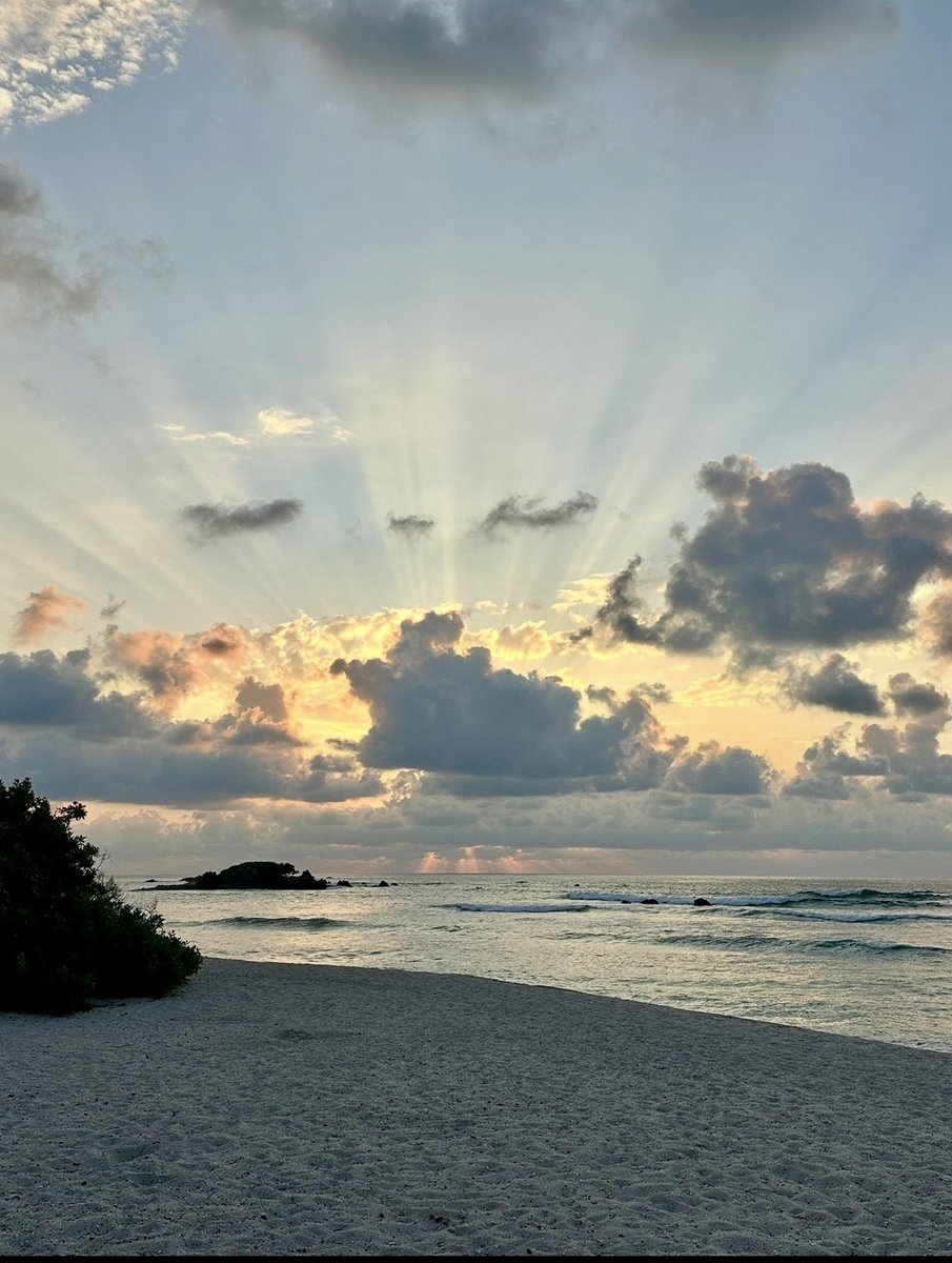 rainhannah_'s tweet image. Easter reminds us—light always finds a way. 
#EasterSunday #FaithOverFear #LightAlwaysWins #Blessed #NewBeginnings