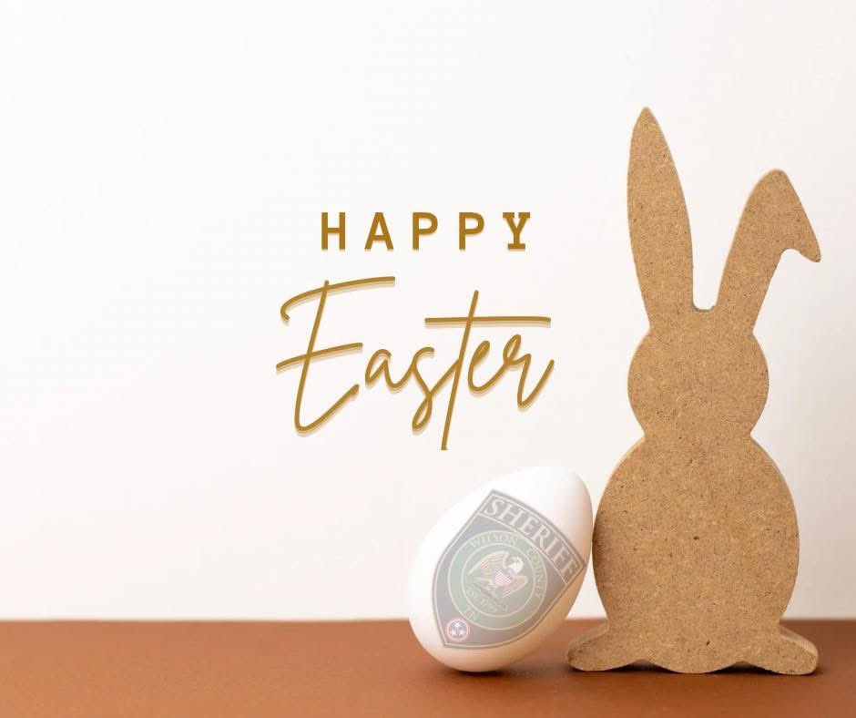 Wilson Co Sheriff tweet media