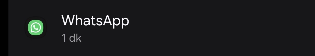 kauaikusu tweet media