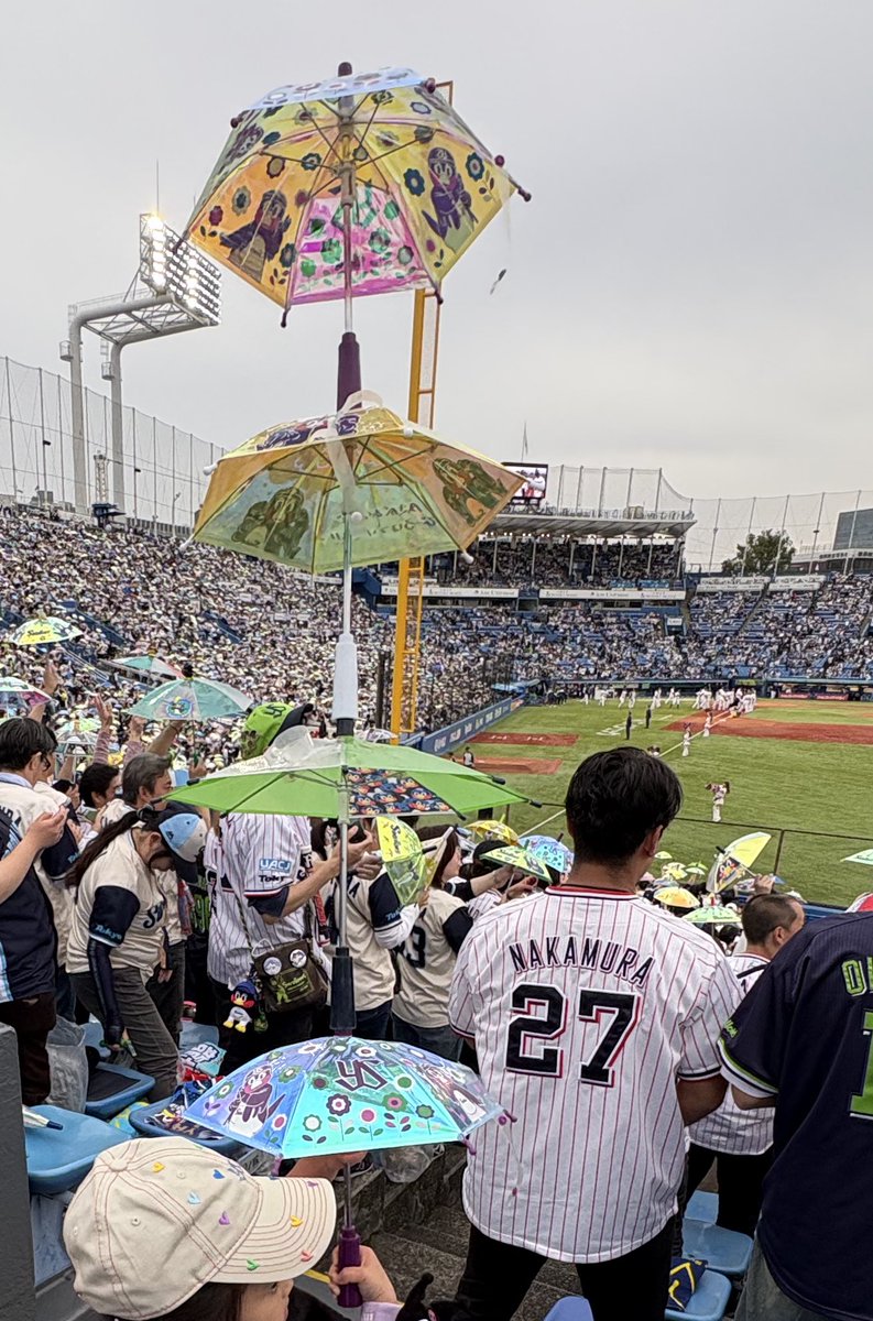 アミマンマ❣️ tweet media