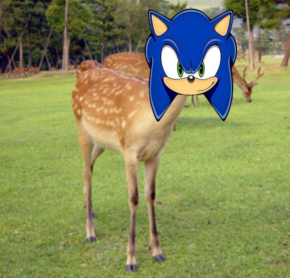 もっき tweet media