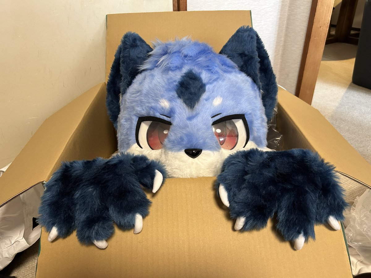 キャプテンレックス tweet media