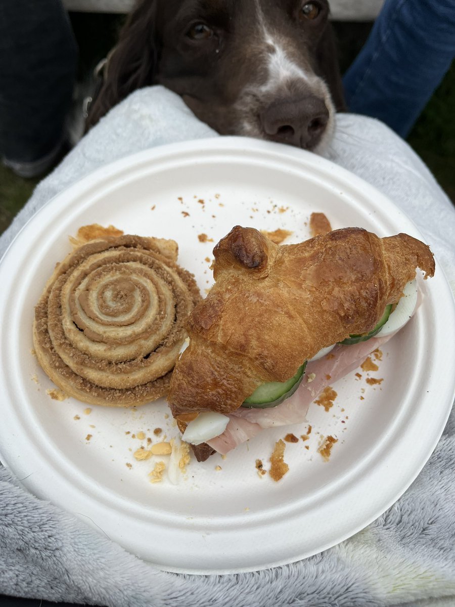 august 𖦹 tweet media