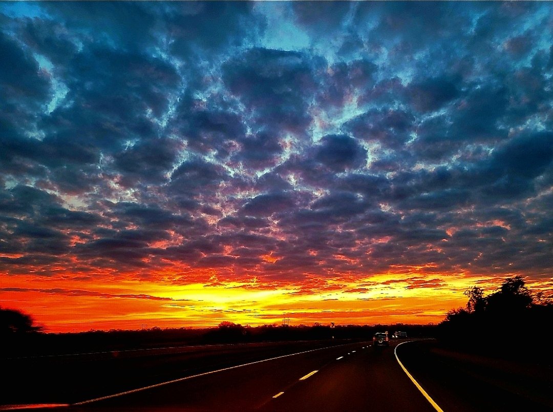 HispanicAlucard tweet media