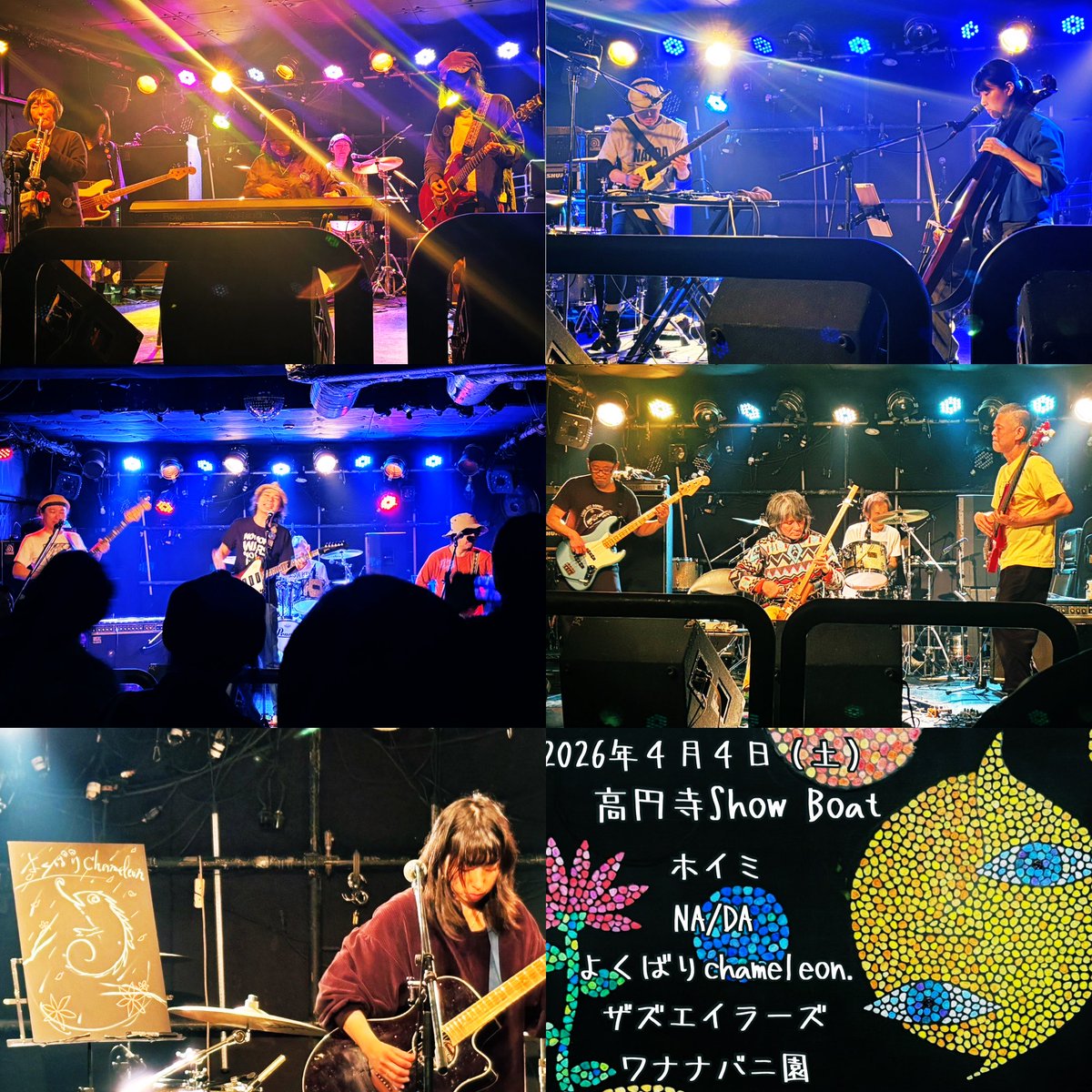 よくばりChameleon. tweet media