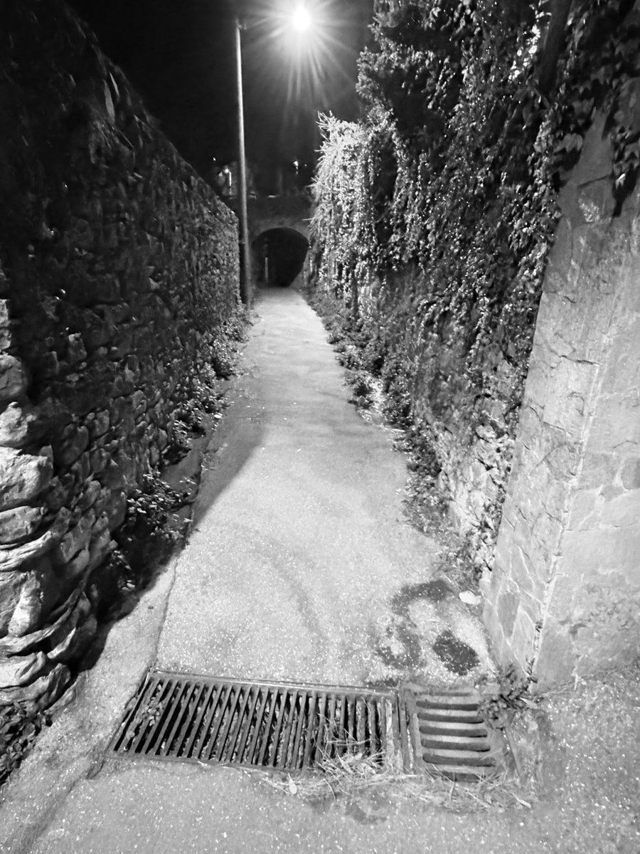 Alonein43672278's tweet image. #photography #blackandwhite #road #arch #streetlamp