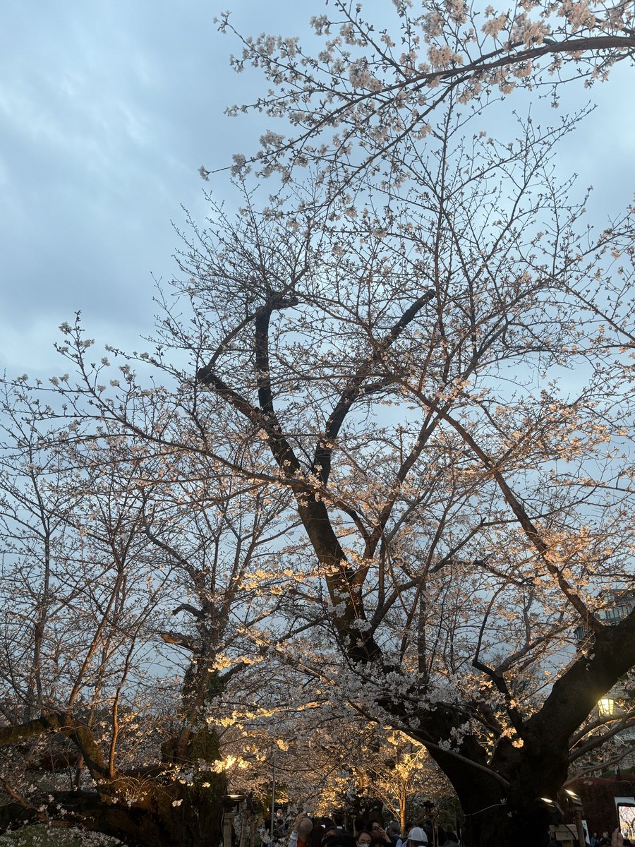 鈴木大地 tweet media