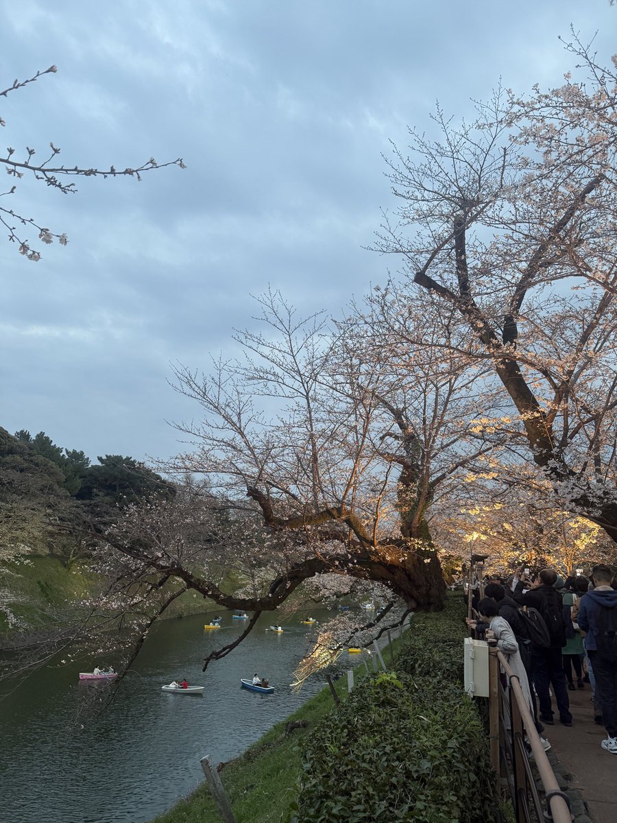 鈴木大地 tweet media