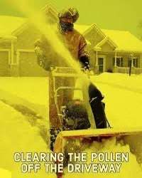 sarah サラ tweet media