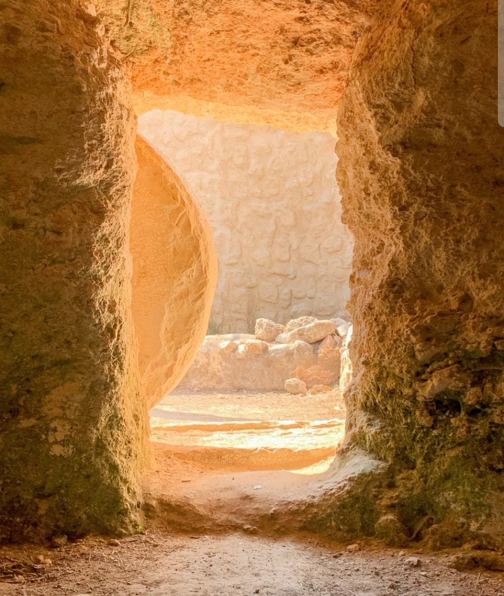 JH Fonseca tweet media