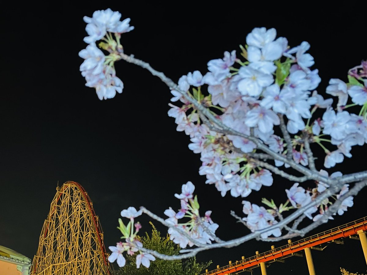 TAKAOGA🎢 tweet media