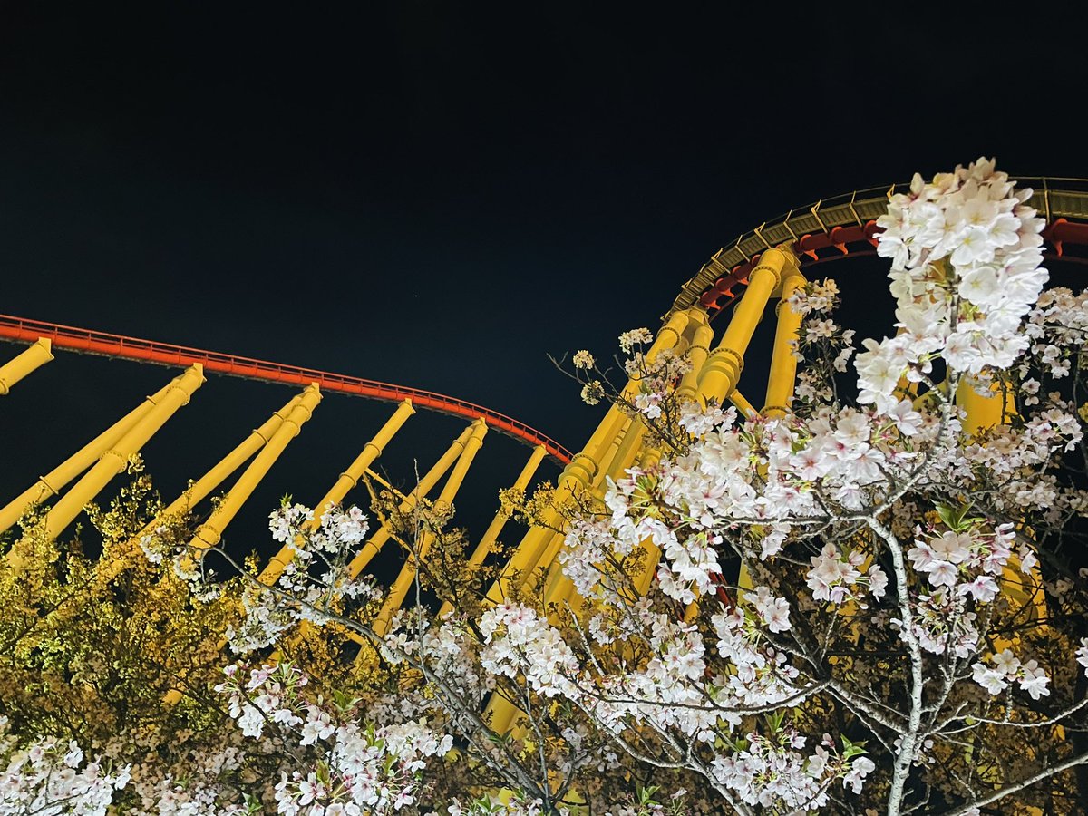 TAKAOGA🎢 tweet media