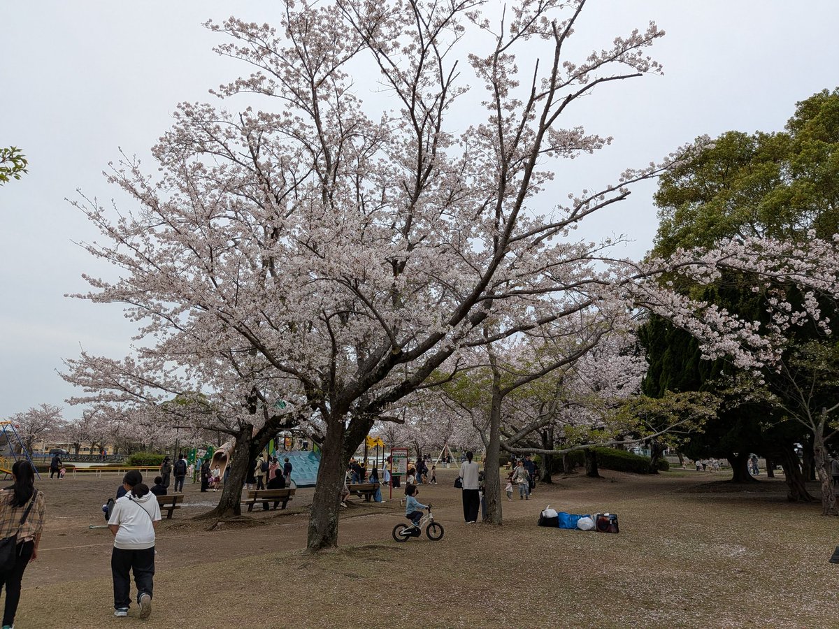 しんちゃん@必ずもどってこいよ!北陸新幹線 tweet media