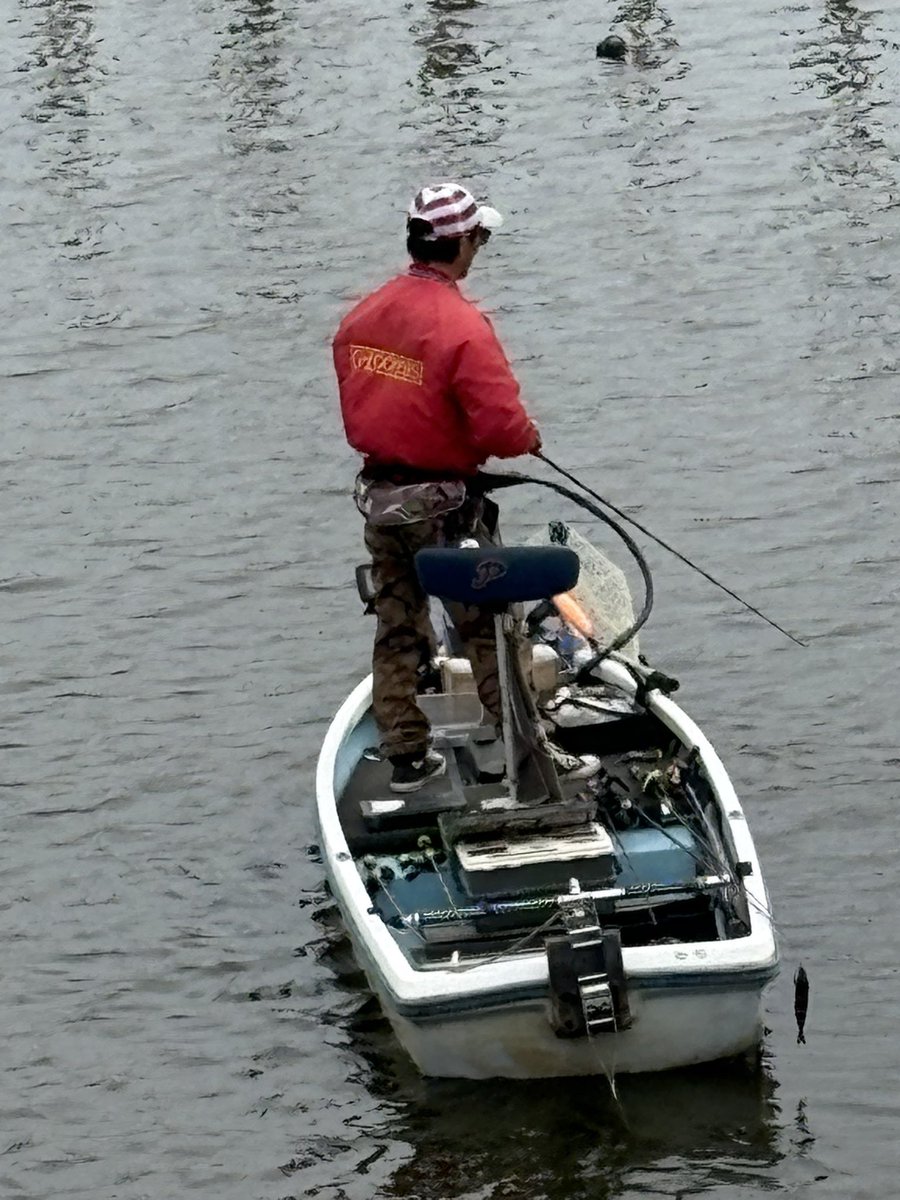 🩷さとちゃんぺ🩷 tweet media