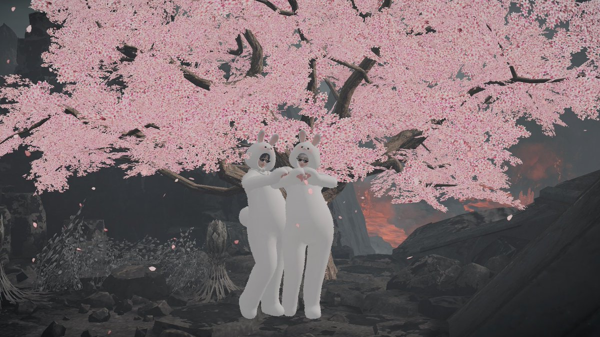 새리 아님 tweet media