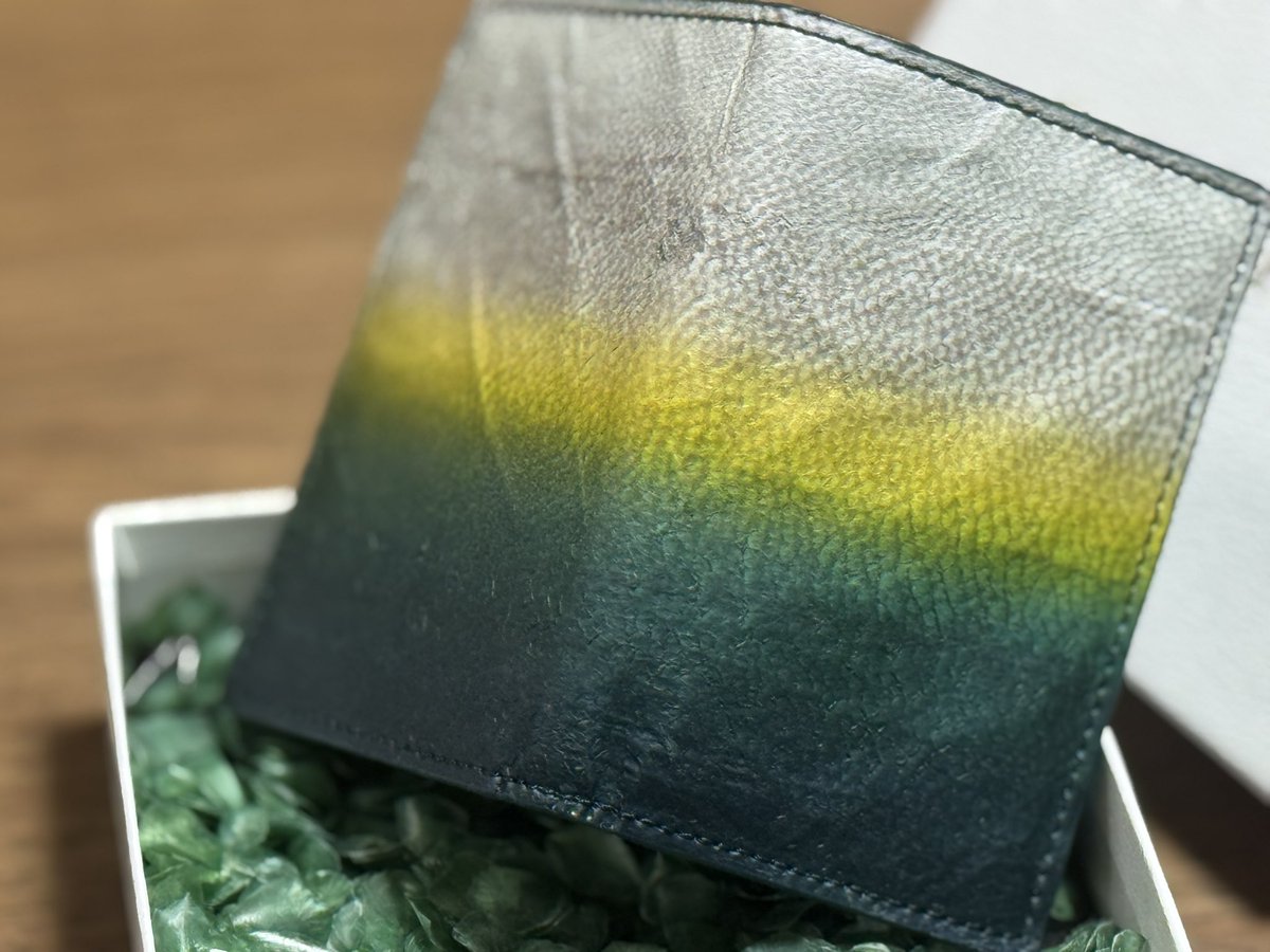 FUNA⚡︎ tweet media